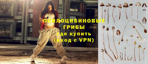 соль ск Верея