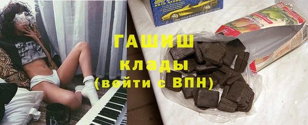 молекула духа Богданович