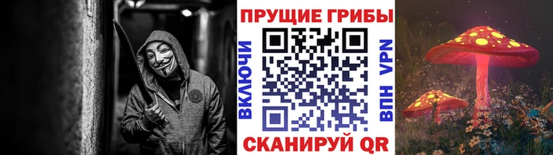 Галлюциногенные грибы Psilocybine cubensis  мега как войти  Ивангород 